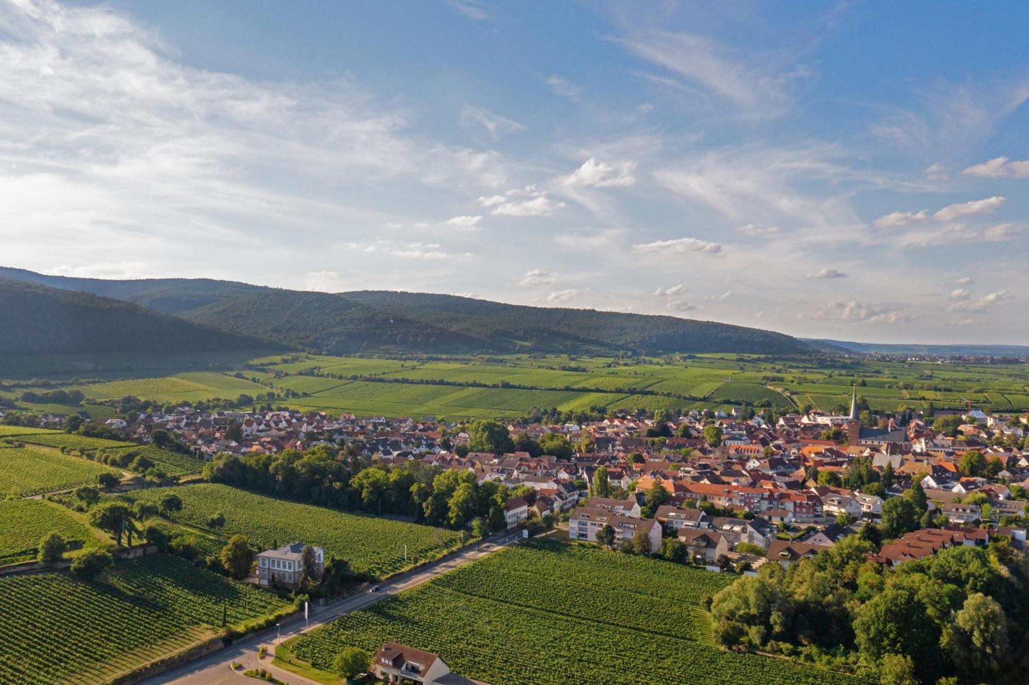 Deidesheimer Haus Esterno foto